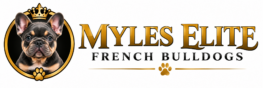 Myles Elite French Bulldogs